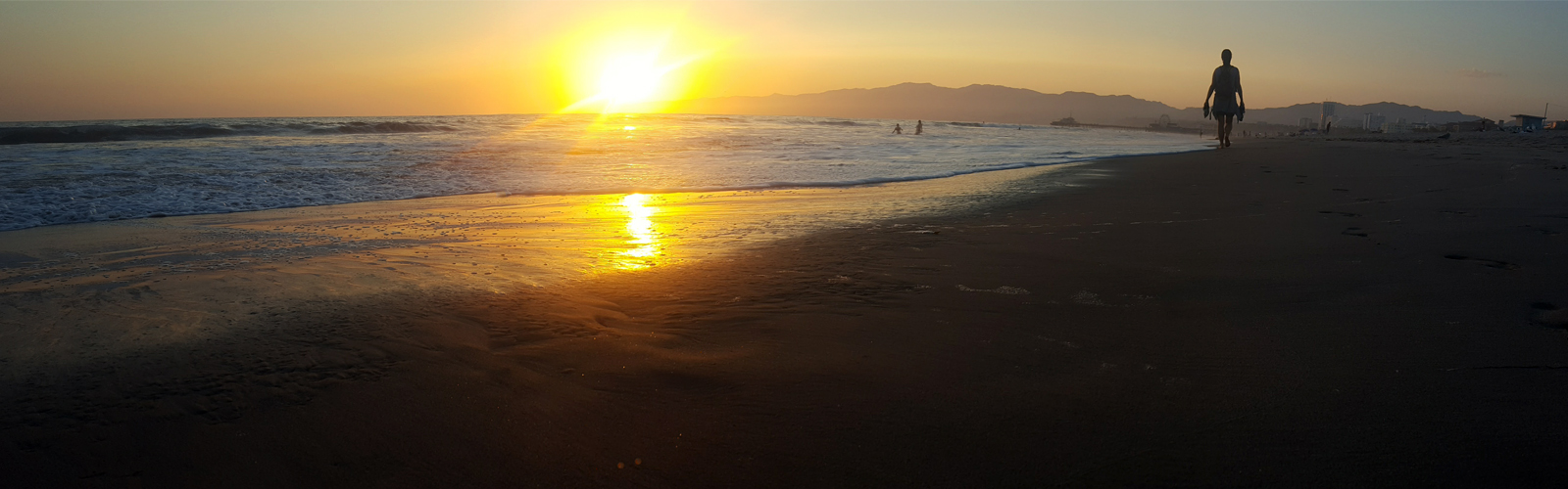 Professional Web Development