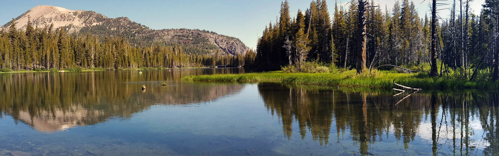 Modern Web Technologies