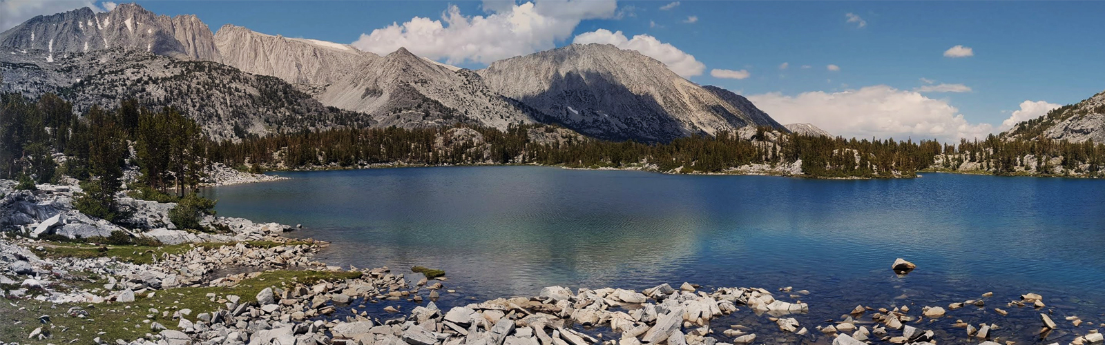 Responsive Design Excellence